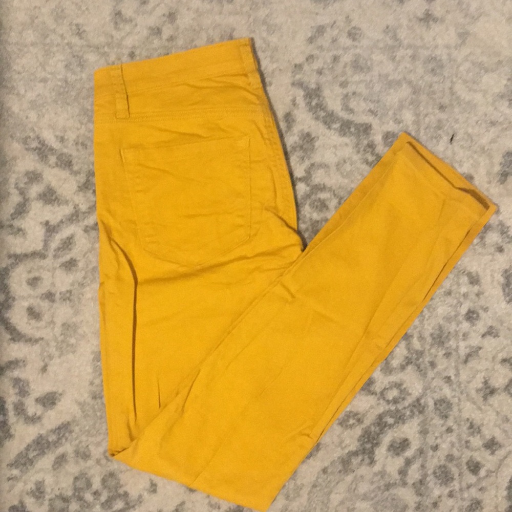 Canary yellow, modern yellow pant